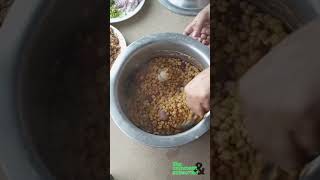 Chicken bbq shami kebabs ytshorts food recipeideas easyrecipe [upl. by Encratia]