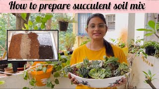 How to prepare easy soil mix for succulents  In just 5 ingredients 🌵reels plants succulent yt [upl. by Etnovad674]