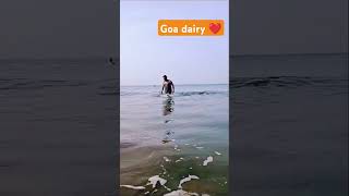 Goa trip in bachelor style  goa sea ocean haryanvi music beachmusic beachhangout beachlive [upl. by Curr424]