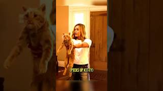 Its not a cat its a flerken shorts viralvideo captainmarvel [upl. by Arah407]