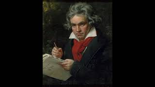 5th Symphony  Ludwig Van Beethoven [upl. by Nylsirk]