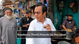 Visiting MariabadAlamdar Road For Picking Roseberry Toot  توت خوردو دا مری آباد [upl. by Jacobsohn]