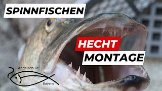 Spinnfischen auf Hecht Die beste Montage [upl. by Sherline]