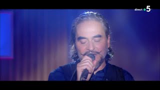 Le live  Stephan Eicher  « Prisonnière »  C à Vous  12122019 [upl. by Colline799]