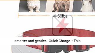 PaiPaitek Dog Bark Collar with Remote [upl. by Malloch]