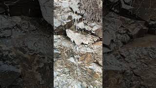 Chorros de agua manando entre las rocas en Casabermeja 29 Octubre 2024 [upl. by Eimilb]