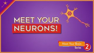 Meet Your Neurons  Lesson 2 [upl. by Sedgewinn]