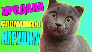 ПРОДАЛИ СЛОМАННУЮ ИГРУШКУ КОТЕНКУ [upl. by Gherardi]