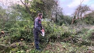 Stihl ms500i working [upl. by Ymer420]