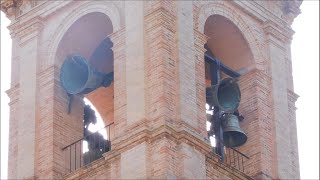 Campane di Ostra AN  santuario della Madonna della Rosa distesa festiva [upl. by Ahsiekel]