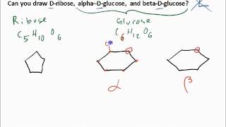 draw ribose and glucose structure [upl. by Daas517]