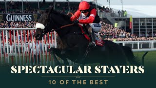 TOP 10 STAYERS HURDLES AT THE CHELTENHAM FESTIVAL [upl. by Eniledgam]