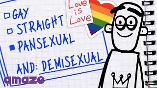 What are Pansexual and Demisexual AskAMAZE [upl. by Artimed]