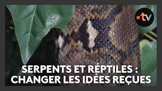 Serpents et reptiles  en finir avec la peur et les idées reçues grâce au zoo dAmnéville [upl. by Ellimak]