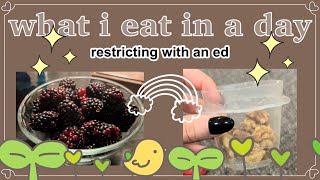 what i eat in a day with an ed🍩high restriction wieiad🍩tw ed restricting🍩 [upl. by Ennirac637]