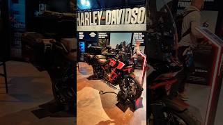 HD Pan America 1250 special harleydavidson panamerica adventure [upl. by Borroff]