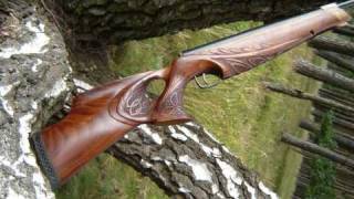 Elven EagleEye custom stock by LP Gunstocks [upl. by Giovanni702]