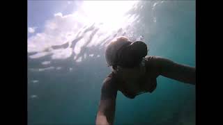 Black Sand Beach Green Sand Beach and free diving in Hilo HI Soooo Beautiful [upl. by Muna]