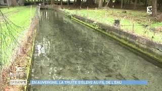 FEUILLETON  En Auvergne la truite sélève au fil de leau [upl. by Noevart]