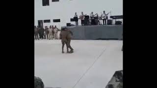 Militares bailando chistosos [upl. by Clougher803]