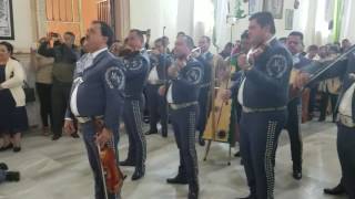 Mañanitas al Sr de La Misericordia  Mariachi Vargas [upl. by Lynus974]