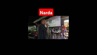 Narda Kamikazee cover song [upl. by Hayotal385]