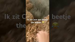 Ik ging Coco een beetje the klieren en maar ze dacht Ugggg wat is ze aan het doen😂 [upl. by Saxe315]