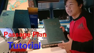 Passage Planning Tutorial  ECDIS Transas  Seaman Vlog  SeaRnel TV [upl. by Wixted644]