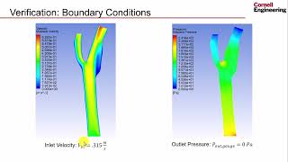 Verification and Validation  Steady Flow in an Artery [upl. by Ecyob390]