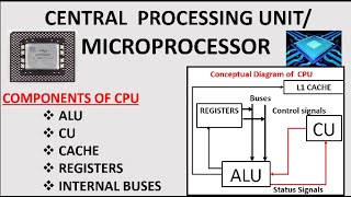 Using the optional Kits with your Magimix Food Processor [upl. by Ahc]