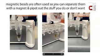 rRNA depletion strategies [upl. by Atrahc972]