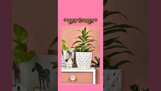 Brihat panchmool dravyaguna ayurveda bams2ndyear bams bams2ndyear aiapget viralvideo [upl. by Etnoval]