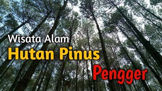 HUTAN PINUS PENGGER  YOGYAKARTA [upl. by Ymaral]