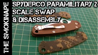 Spyderco Paramilitary 2 Knife  Scale Swap and Disassembly  TheSmokinApe [upl. by Benedict]