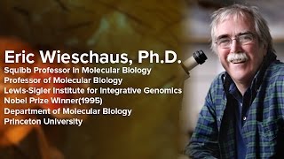 Patterning Gene Activity During Early Embryonic Development  Eric Wieschaus PhD [upl. by Llain253]