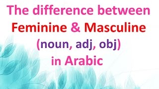 Feminine and Taa Marbuta  Learn Arabic [upl. by Ronoel519]