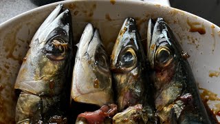 Fried Mackerels  Scomber australasicus  and Green Chillies Sambal shorts shortvideo viralvideo [upl. by Nirehtac]