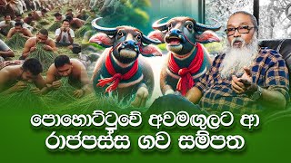 පුන්නක්කු තණකොළ දන්සැල් හැමතැනම [upl. by Emlin]