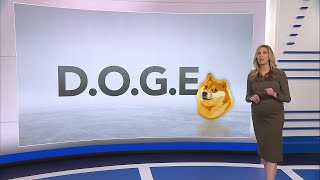 What is DOGE and how much power will it have [upl. by Anatak]