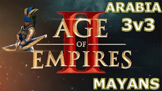 Plumed Archer OP  3v3 Arabia2v3  Age Of Empires 2  Mayans [upl. by Ekud738]