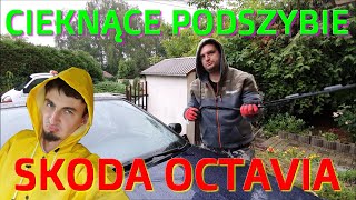 Skoda Octavia  przeciekające podszybie  przyczyny i jak je usunąć [upl. by Burgwell852]