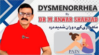 What is Dysmenorrhea  Menstrual Cramps [upl. by Nilyak]