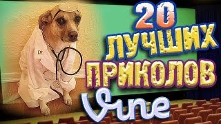 Лучшие Приколы Vine ВЫПУСК 27 17 [upl. by Annav]