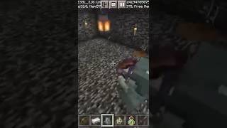 30 stray vs 4 iron Golem [upl. by Natloz]