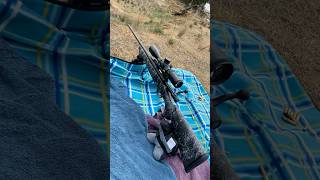 Howa 1500 Carbon Stalker [upl. by Quickel]