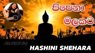 Pipena Malakata  පිපෙනා මලකට  Covered By Hashini Shehara [upl. by Birmingham158]