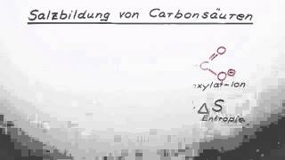 Salzbildung von Carbonsäuren  Chemie  Organische Chemie [upl. by Eiblehs]