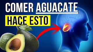 Qué Pasa Si Comes AGUACATE Todos Los Días Increíbles beneficios [upl. by Fenwick]