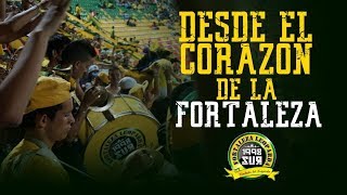 La fiesta desde el corazon de la Fortaleza  Bmanga vs Santa fe  23Sep  Fortaleza Leoparda 2017 [upl. by Florio]