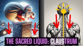 CLAUStrum The Sacred Brain Part 100 Cell Regenerator [upl. by O'Grady]